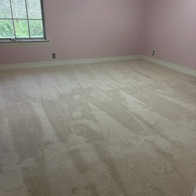 Clean newly installed carpet in a pink bedroom with sunlight coming through the window.